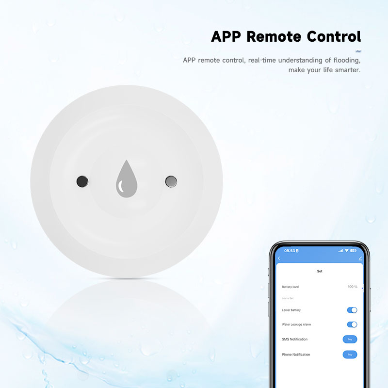Tuya Zigbee2mqtt Water Immersi - Water Alarm Sensor recensione e prezzo