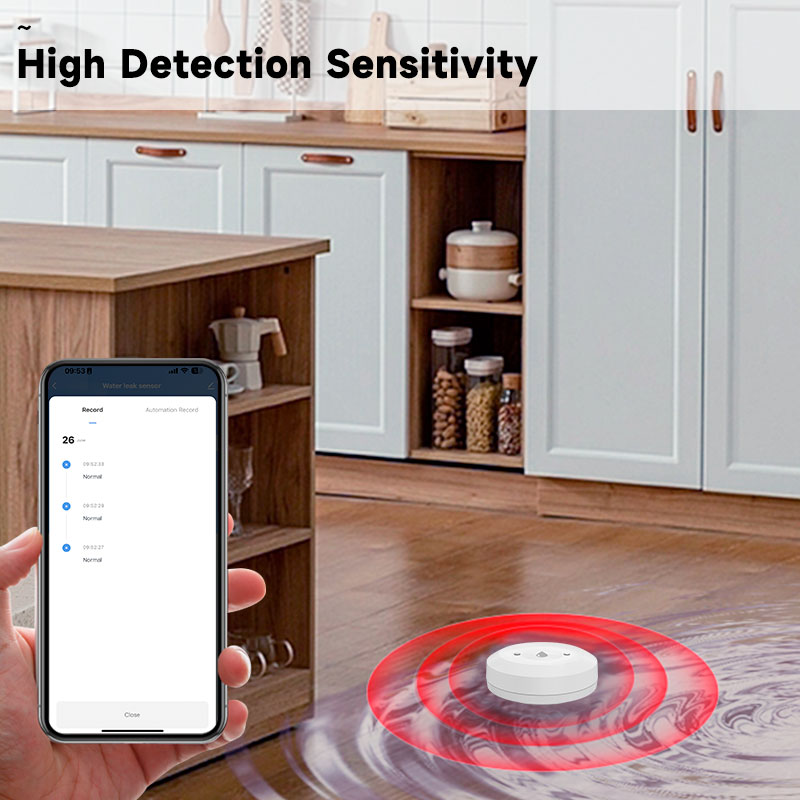 Tuya Zigbee2mqtt Water Immersi - Water Alarm Sensor recensione e prezzo