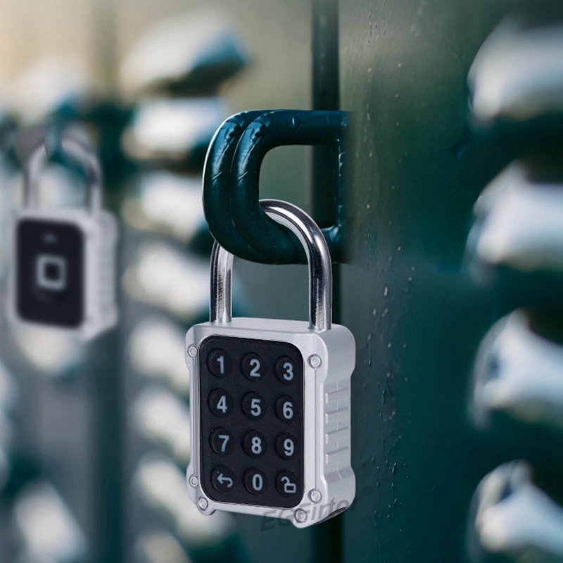 Tuya Bluetooth APP Remote Elec - Lockbox Key Secure recensione e prezzo
