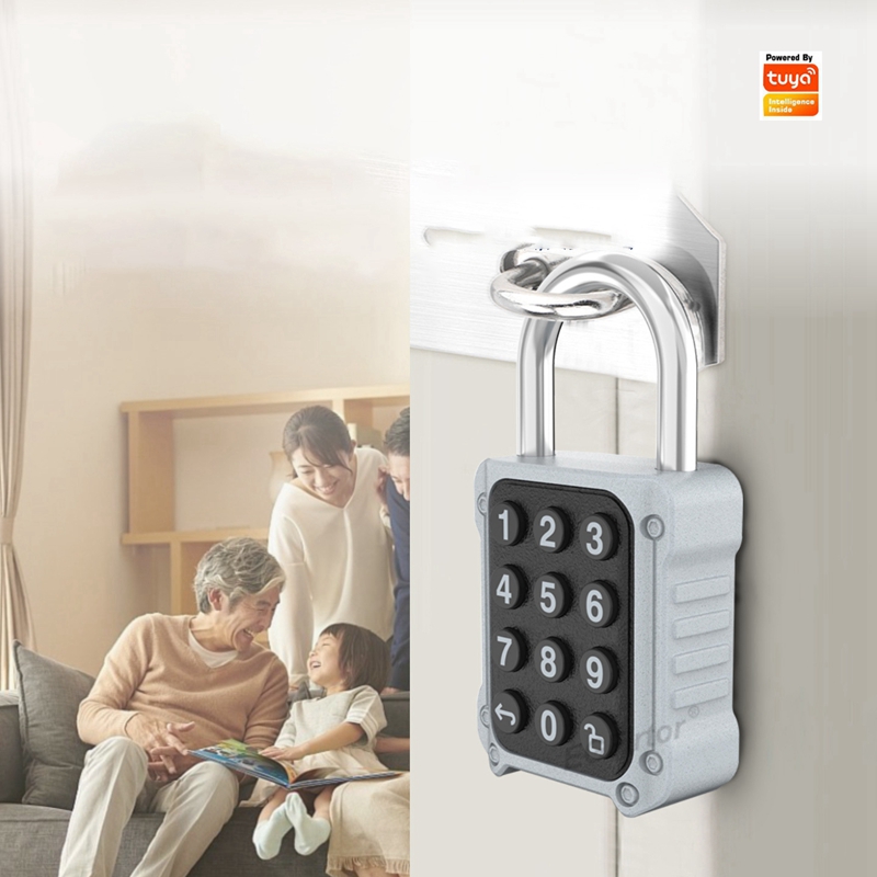 Tuya Bluetooth APP Remote Elec - Lockbox Key Secure recensione e prezzo