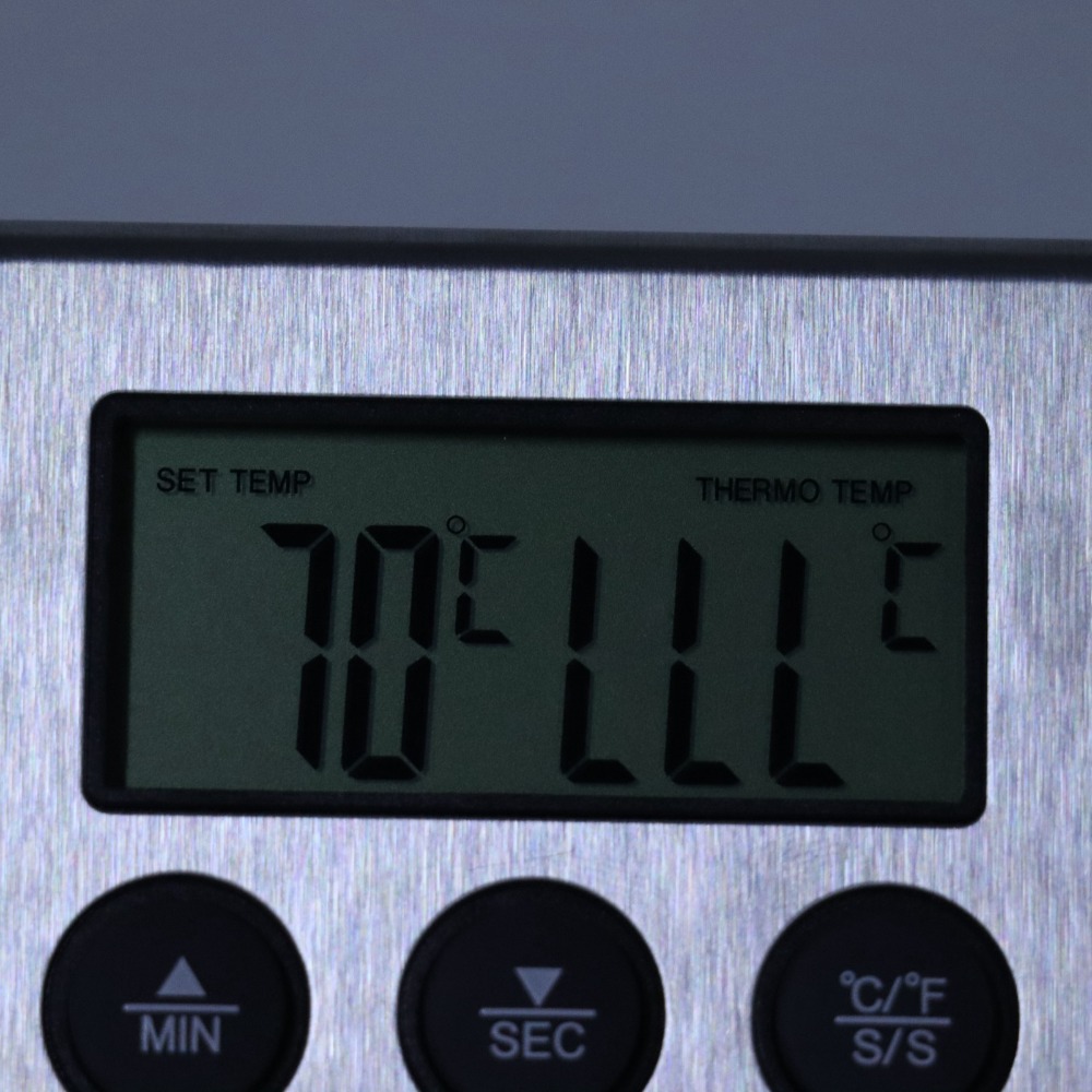 Silver Digital BBQ Meat Thermo - Pool Alarm Float recensione e prezzo