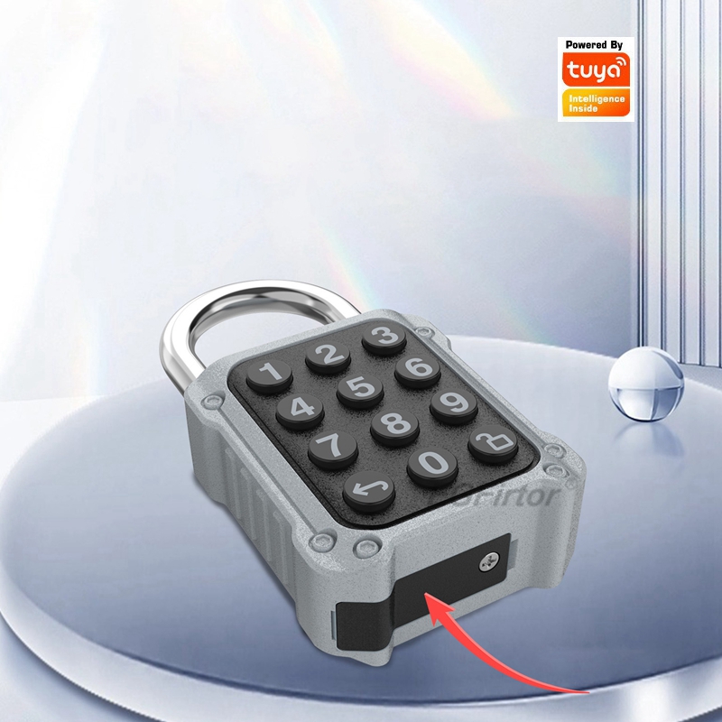 EGFirtor Tuya APP Electronic S - Lockbox Key Secure recensione e prezzo