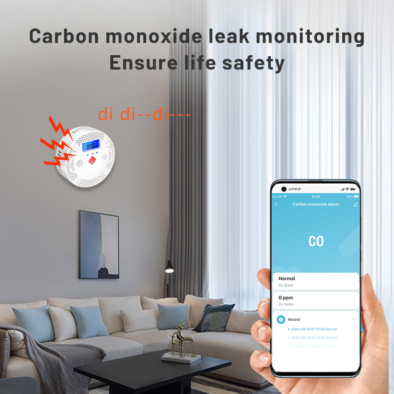 Tuya WiFi Smart Carbon Monoxid - Co Detector Plug recensione e prezzo
