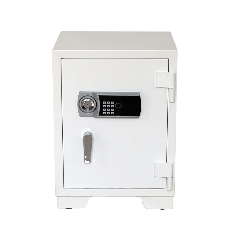 Bank Home Office Deposit Secur - Fire Safe Document recensione e prezzo