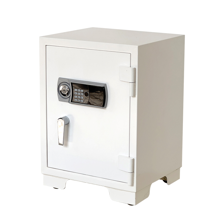 Bank Home Office Deposit Secur - Fire Safe Document recensione e prezzo